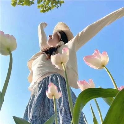 彩虹庇护所